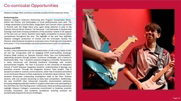 Gleeson College School Performance Report – 2024 - Page 20